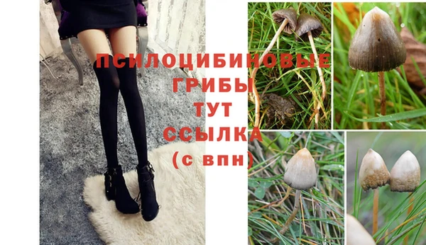 сатива Белоозёрский