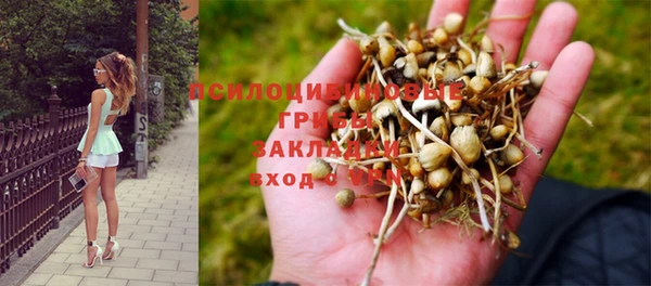 ГАЛЛЮЦИНОГЕННЫЕ ГРИБЫ Баксан