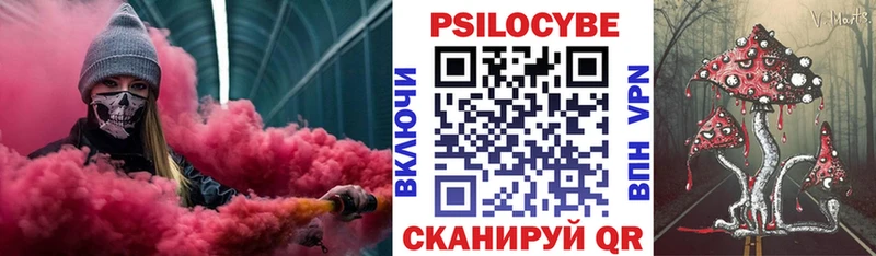 хочу наркоту  Горно-Алтайск  Псилоцибиновые грибы GOLDEN TEACHER 